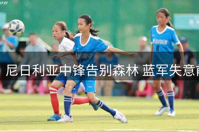 尼日利亚中锋告别森林 蓝军失意前锋成补强目标