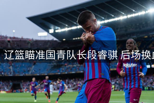 辽篮瞄准国青队长段睿骐 后场换血计划浮出水面